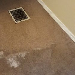 damaged carpet