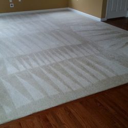 white area carpet
