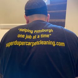 carpet cleaning services