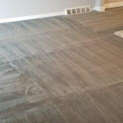 carpeted room finished