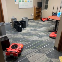 commercial carpet cleaning