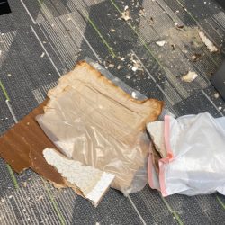 carpet cleaning services