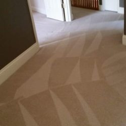 multi room carpet complete