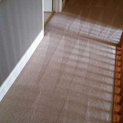 carpet hallway complete