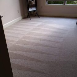 full room carpet complete