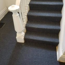 after carpet cleaning