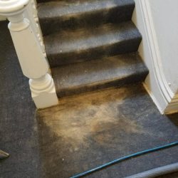 dirty carpet before photo